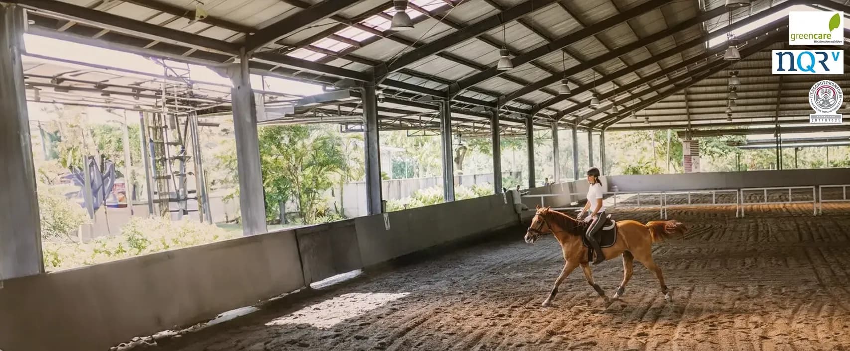 Finde einen Reitstall oder Reitpädagog*innen  in deiner Nähe. 